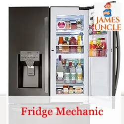 Fridge mechanic Mr. Momin Mondal in Dhubulia